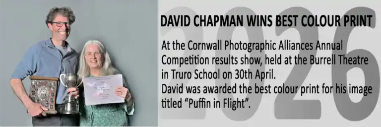 2026 CPA Annual - David Best print